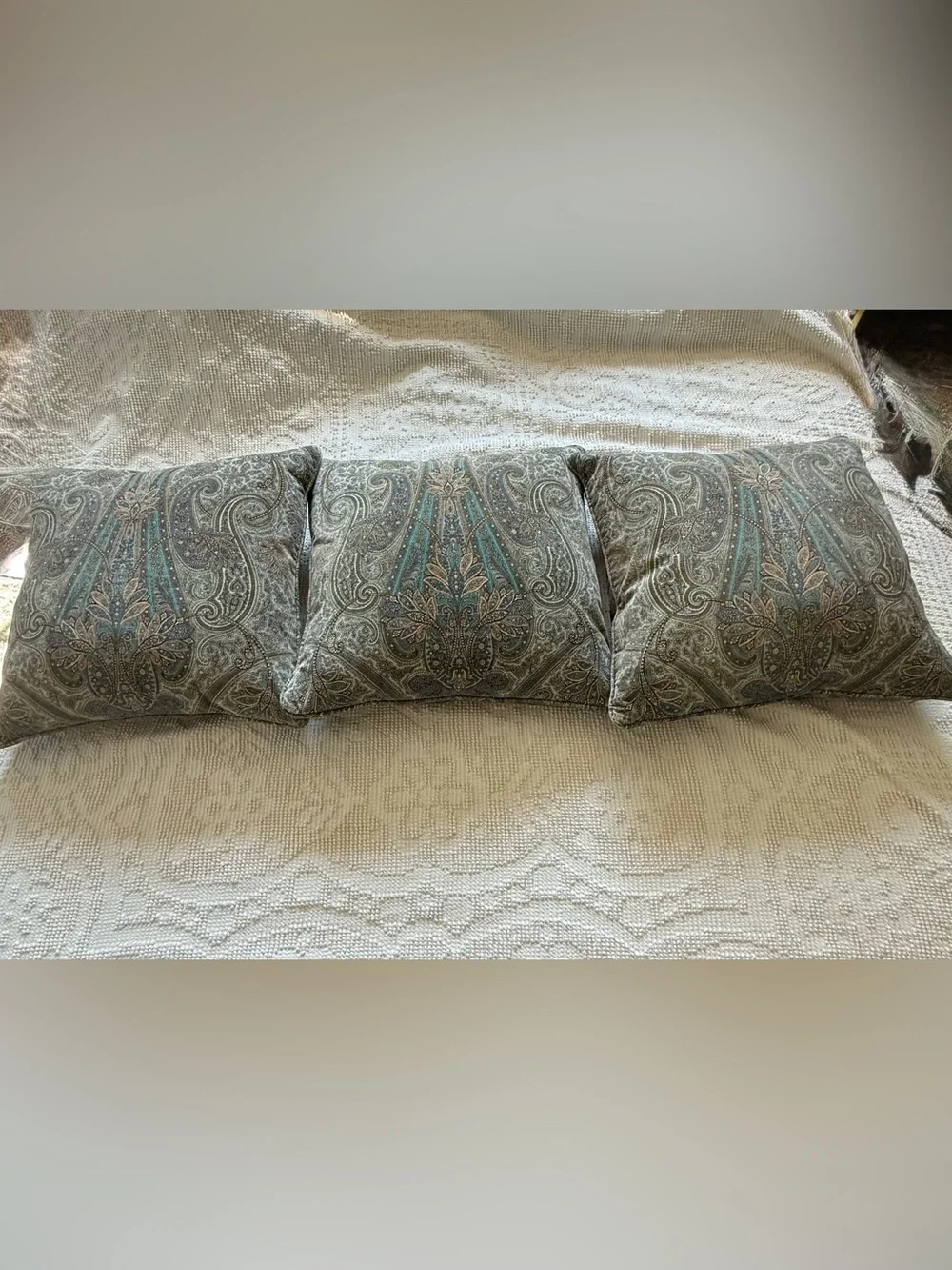 Paisley Velvet Throw Pillows 18” Set of Three With Feather Inserts Hidden Zipper